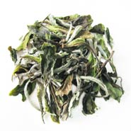 Bai Mu Dan | Pai Mu Tan Tea
